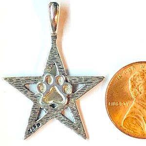 Sterling Silver Pentagram w Sterling Puppy Paw®️